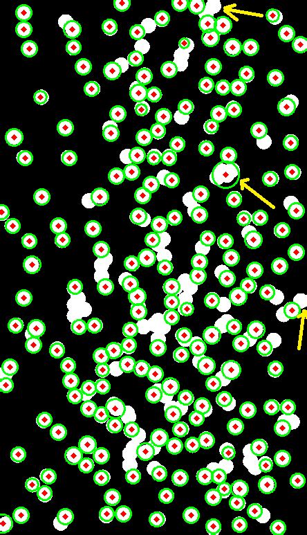 Python Opencv Counting Overlapping Circles Using Morphological