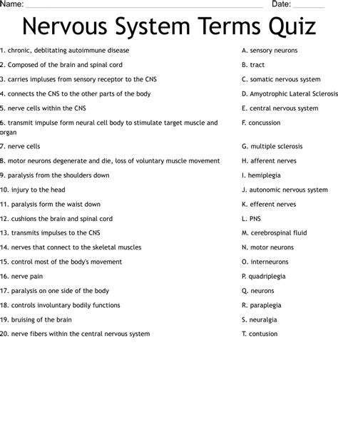 Nervous System Quiz Grade 6