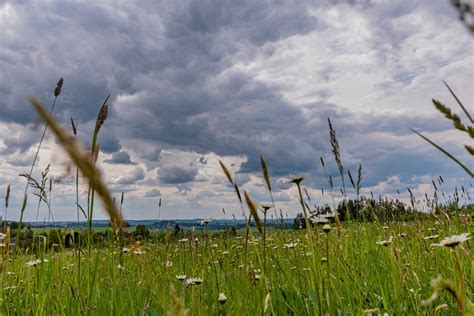 Prognoza pogody na środę 29 maja 2024 roku ekologia pl