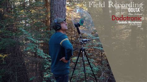 Nature Sounds Field Recording YouTube