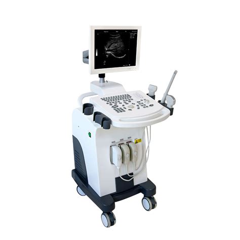 Ltub V Middle End Trolley Bw Veterinary Ultrasound Scanner Full