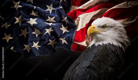 Bald Eagle Flag Wallpaper