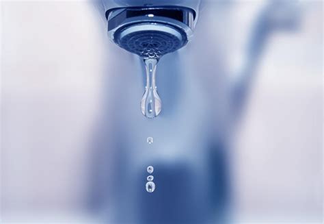 How to Lower Your Household Water Usage: The Best Water Saving Tips ...