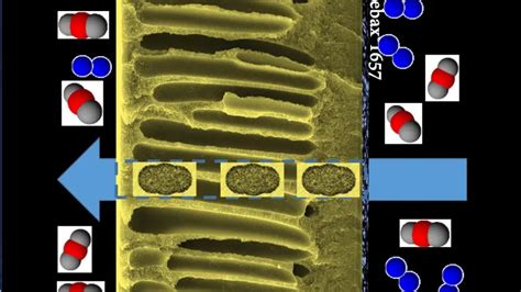 Proyectos europeos Membranas ultrafinas para capturar dióxido de