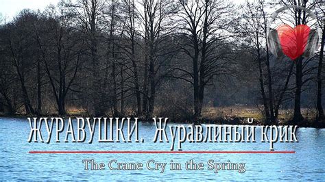 ЖУРАВУШКИ. Журавлиный крик весной - YouTube