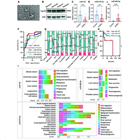 Circulating Exosomal Mirnas Exerted Diagnostic And Prognostic Value