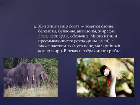 Республика Уганда - презентация онлайн