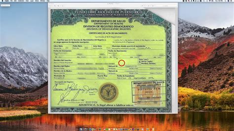 Marriage Certificate Puerto Rico