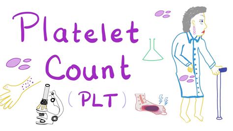 Platelet Count Plt Youtube