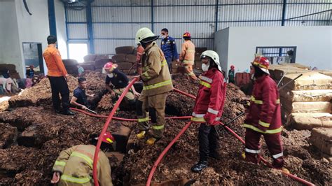 Gudang Tembakau Di Bojonegoro Terbakar Rugi Hingga Rp100 Juta