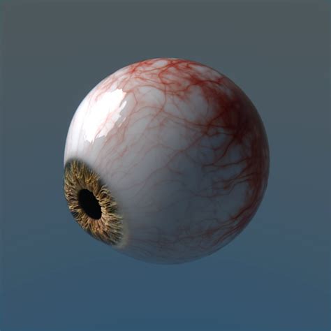 3d Photorealistic Human Eyes Model Turbosquid 1314774