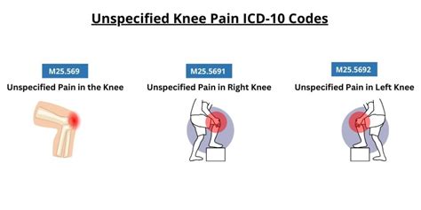 Comprehensive Overview Of Knee Pain Icd 10 Codes