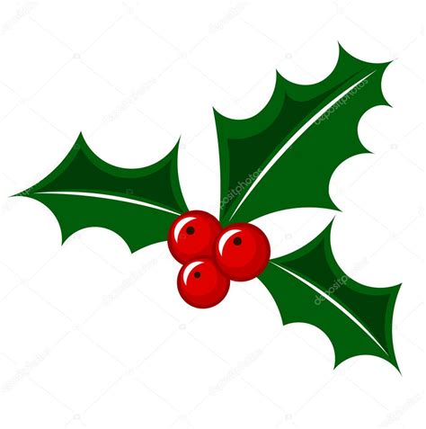 Christmas holly berry ⬇ Vector Image by © Studiobarcelona | Vector ...