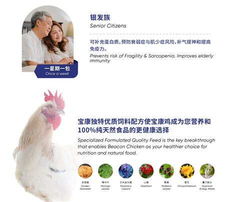 宝康海藻滴鸡精 Beacon Seaweed Chicken Pure Essence 80ml X 6pack Homecare Shop