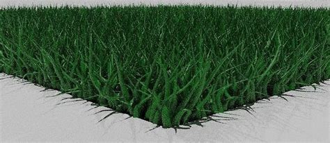 3d Model Grass Vr Ar Low Poly Cgtrader