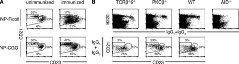 T-I memory B cells are phenotypically distinct from T-D memory B cells ...