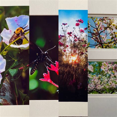 flora  fauna photography mounted photographs etsy