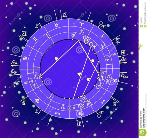 Carta Astrol Gica Natal De Synastry Muestras Del Zodiaco Illustra Del