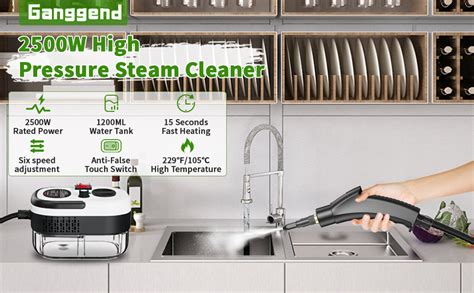 Amazon Ganggend Steam Cleaner W Pressurized Portable Steam