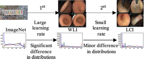 Figure 6 From A Benchmark Dataset Of Endoscopic Images And Novel Deep