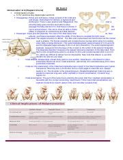 OB EXAM 2 Doc OB Exam 2 Normal Labor I II Chapters 13 14