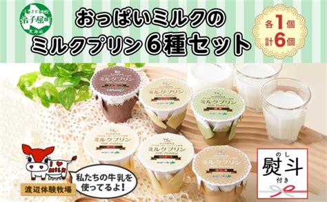 1463 無地熨斗 ミルクプリン 6種 食べ比べ 計6個 プリン カスタード チーズ ほうじ茶 ミルクティー チョコレート 抹茶 スイーツ