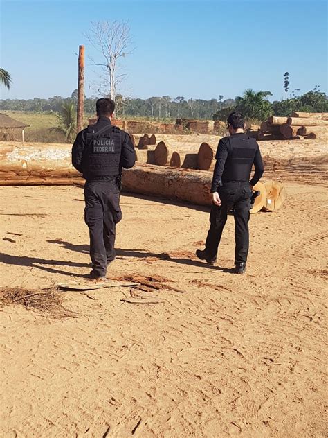 Novas imagens revelam detalhes da operação Máfia da Tora em Rondônia