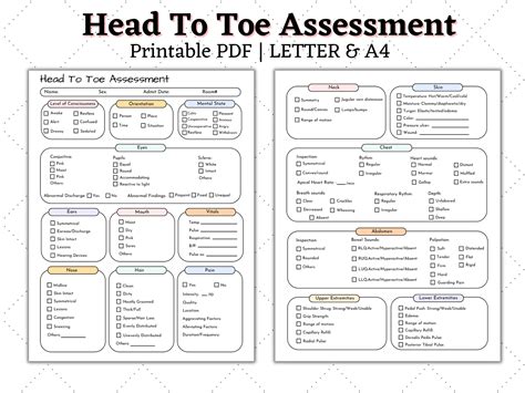 Head To Toe Assessment Nursing Template Nursing Guide Etsy