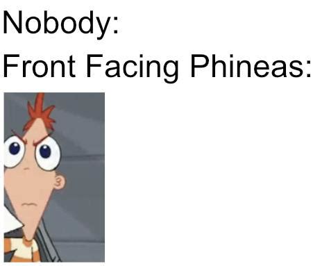 Front facing Phineas : r/memes