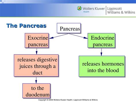 PPT - Chapter 29 Disorders of Hepatobiliary and Exocrine Pancreas ...