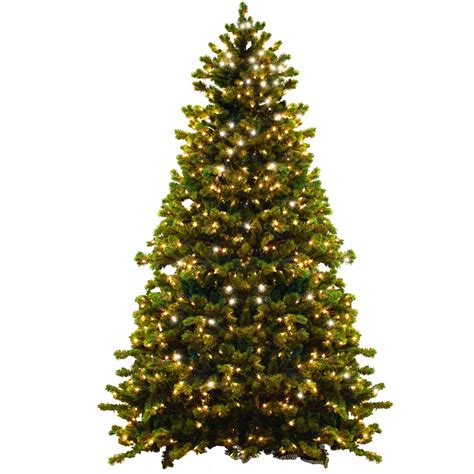 GKI/Bethlehem Lighting 6-ft Pre-Lit Spruce Artificial Christmas Tree with White Incandescent ...