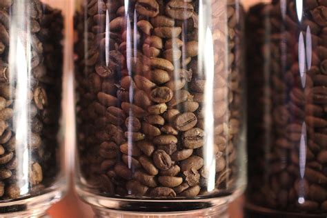 How Long Do Coffee Beans Last Coffeebitz