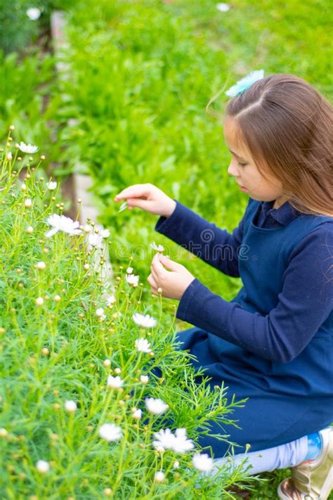 Smiling Little Latina Girl in Garden Picking Flowers Stockbild Bild von nett glücklich 144231363