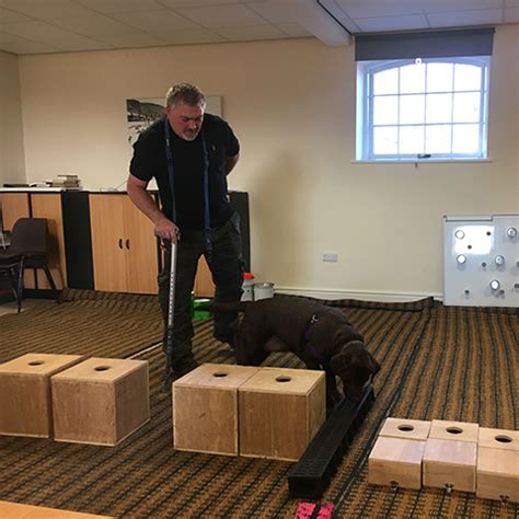 Jackador Dog Training and Behaviour School