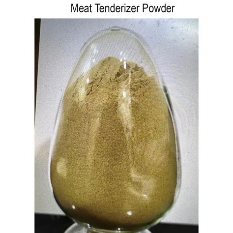 Meat Tenderizer Powder, Pack Size: 25 Kg, Pack Type: Hdpe Drums at ...