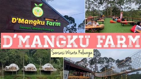 DMANGKU FARM TEMPAT WISATA YANG LAGI VIRAL DI MANCAK SERANG