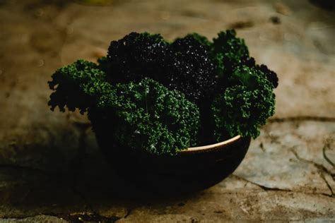 Growing Kale Indoors Tips For A Healthy And Nutritious Harvest