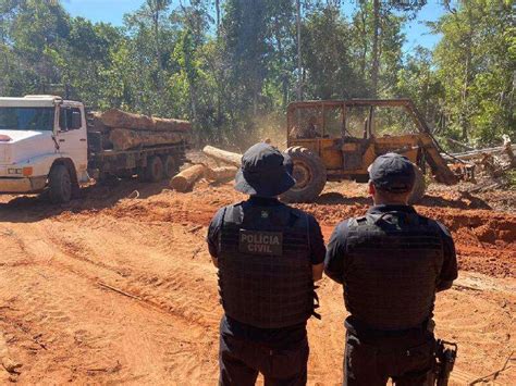 Delegacia De Meio Ambiente Fecha Ano Com 35 Operações De Combate A