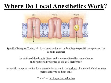 Local Anesthetics Pictures Photos