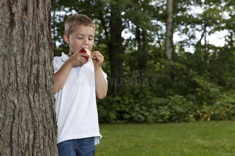 Muchacho Joven Que Come Una Manzana Foto De Archivo Imagen De Hermoso