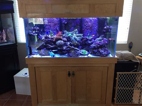 120 Reef Ready W Dual Overflows Including Tons Of Extras Up For Sale