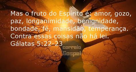 Versículos Sobre Transformação Correio Gospel