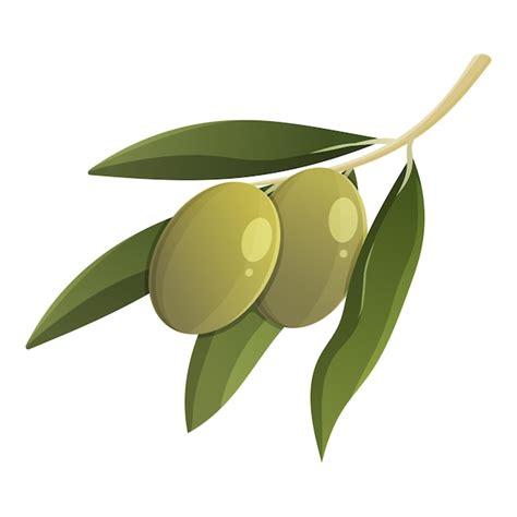 Premium Vector Olive Branch With Leaves Cartoon Vector Isolated