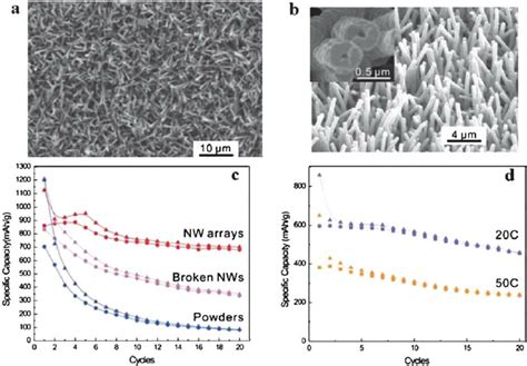 Sem Images Of Co O Nanowire Arrays Grown On Ti Foil Viewed From A