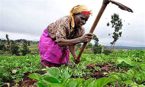 What Is A Subsistence Economy Worldatlas