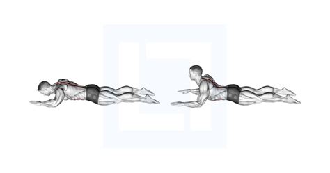 Cable One Arm Lat Pulldown Guide Benefits And Form