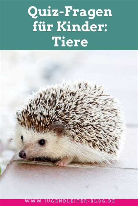 Quiz Fragen F R Kinder Tiere Jugendleiter Blog Quiz F R Kinder