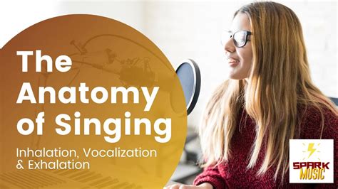 The Anatomy Of Singing How The Diaphragm Larynx And Vocal Folds Work