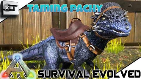 How To Tame Pachy Taming Pachy Ark Mobile Solo Series Youtube