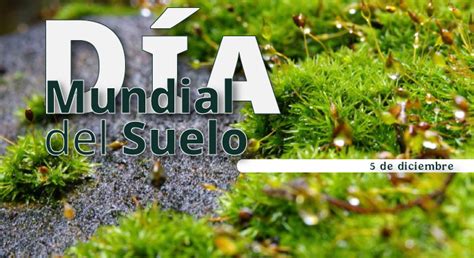 El Día Mundial del Suelo Servicio de Información Agroalimentaria y